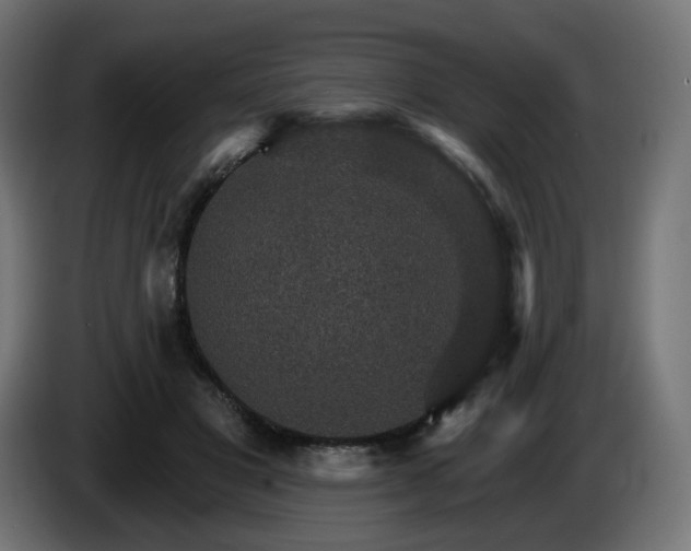 X0000084540501200703021447