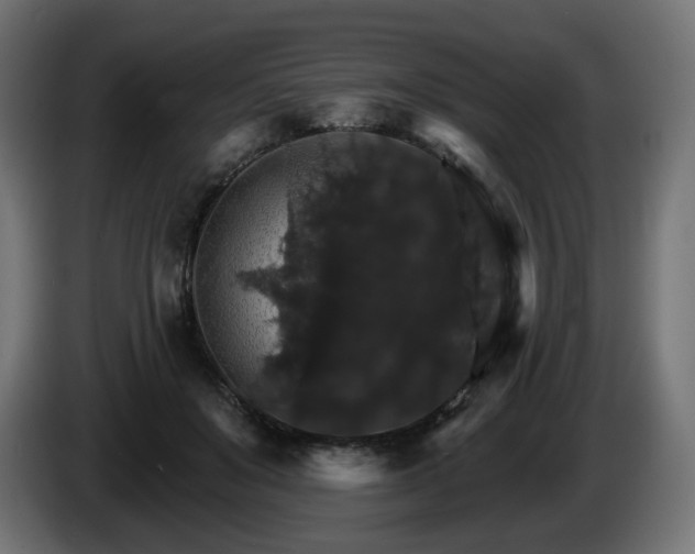 X0000084540503200703021447