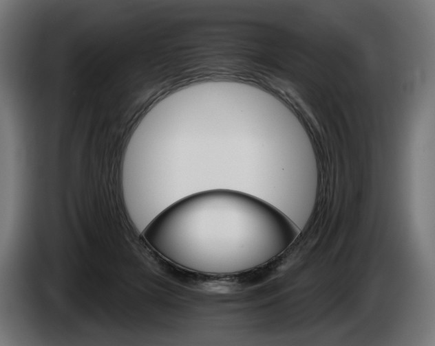 X0000084540505200703021447