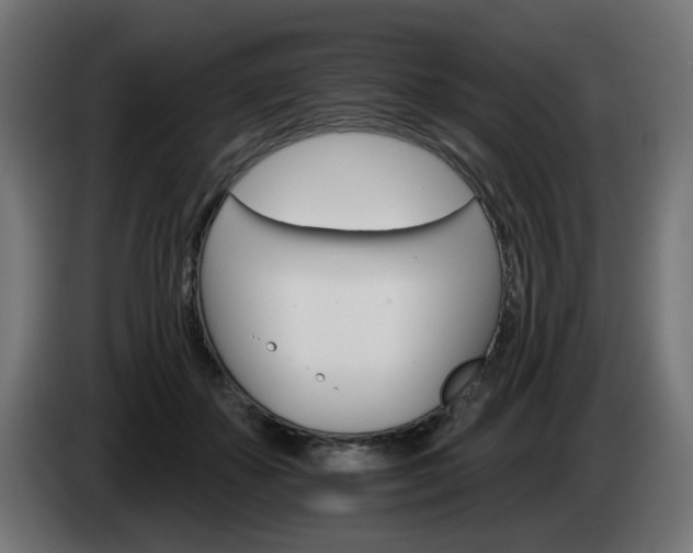 X0000084540507200703021447