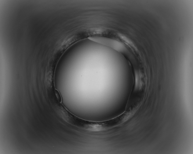 X0000084540509200703021447