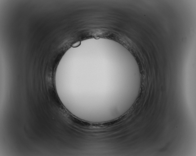 X0000084540510200703021447