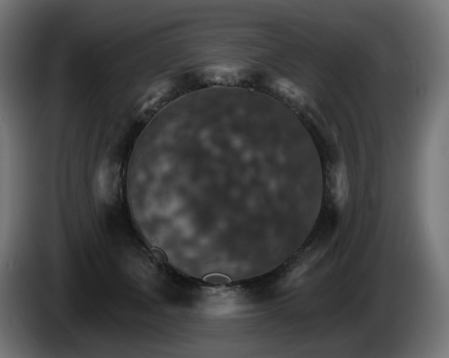 X0000084540511200703021447