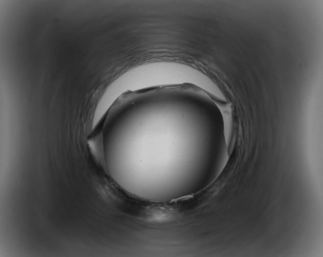 X0000084540512200703021447