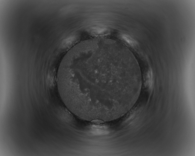 X0000084540515200703021447