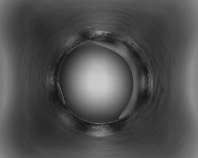 X0000084540516200703021447