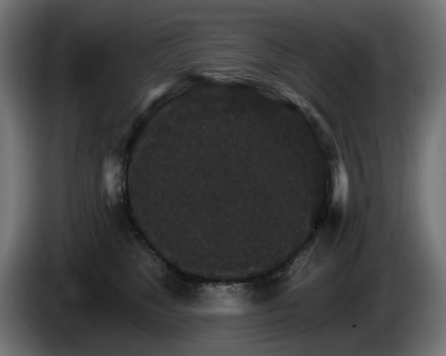 X0000084540517200703021447