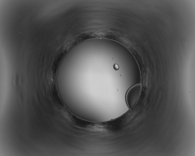 X0000084540518200703021447