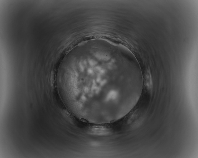 X0000084540519200703021447