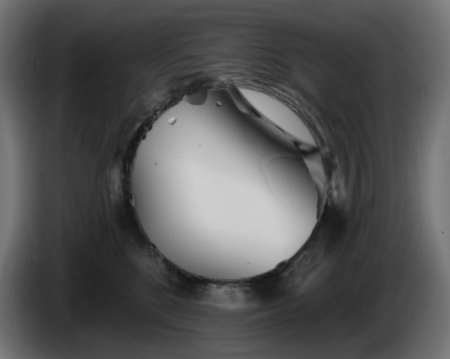 X0000084540520200703021446