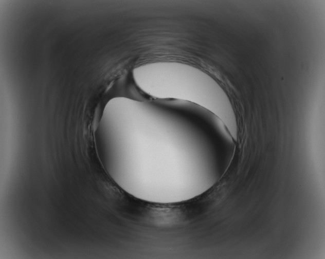 X0000084540521200703021446