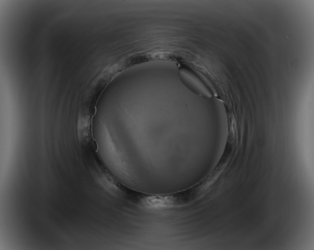 X0000084540526200703021446