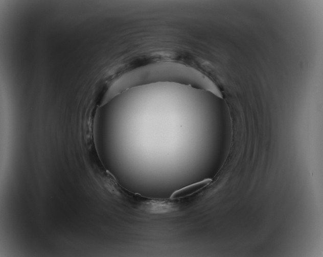 X0000084540528200703021446