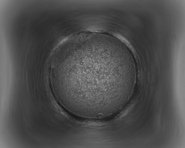 X0000084540529200703021446