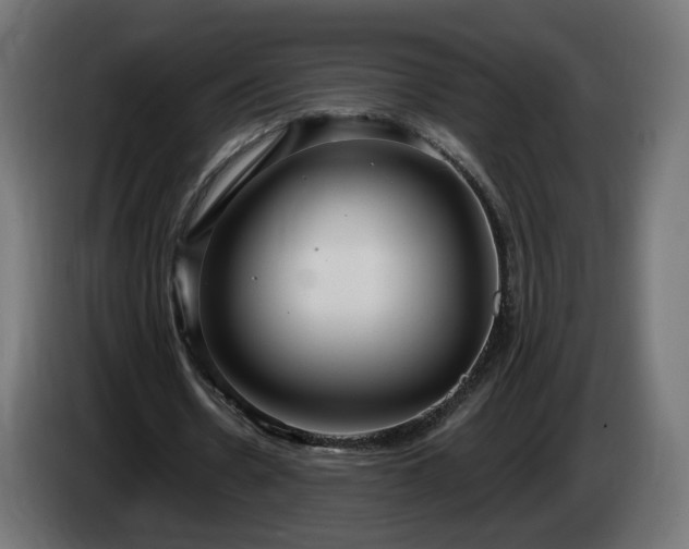 X0000084540530200703021446