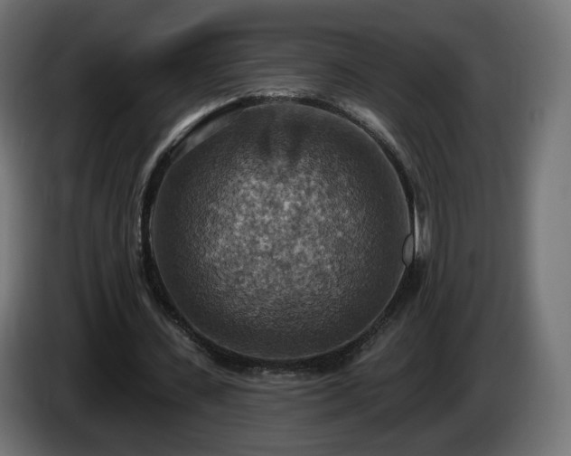 X0000084540531200703021446