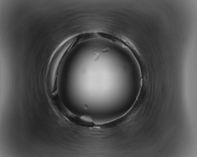 X0000084540532200703021446