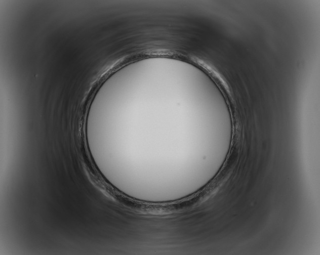 X0000084540533200703021446