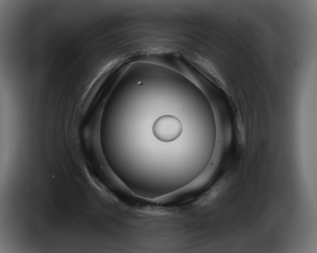 X0000084540534200703021446