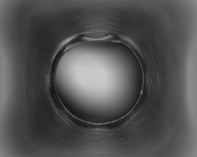 X0000084540536200703021446