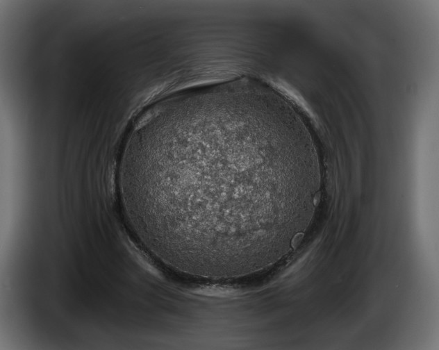 X0000084540537200703021446