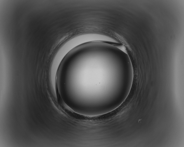 X0000084540538200703021446