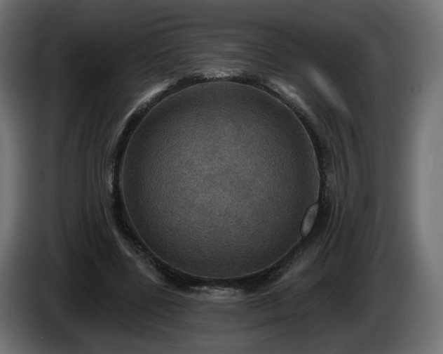 X0000084540539200703021446