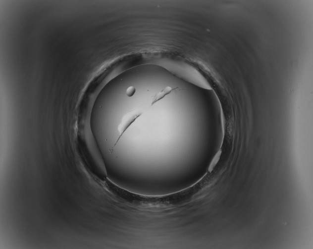 X0000084540540200703021446