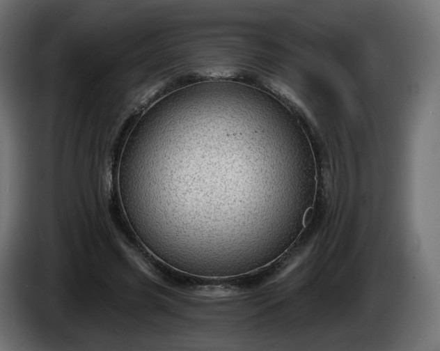 X0000084540541200703021446