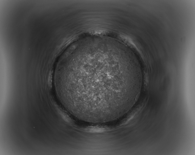 X0000084540545200703021446