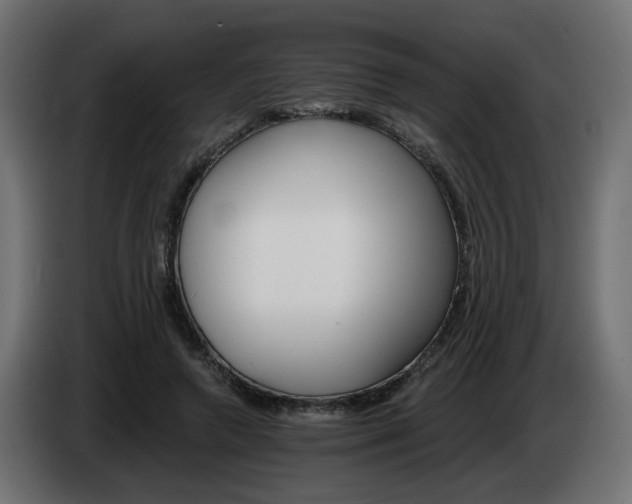 X0000084540546200703021446