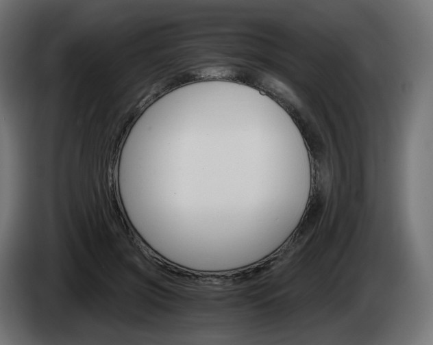 X0000084540549200703021446