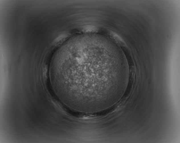 X0000084540550200703021446