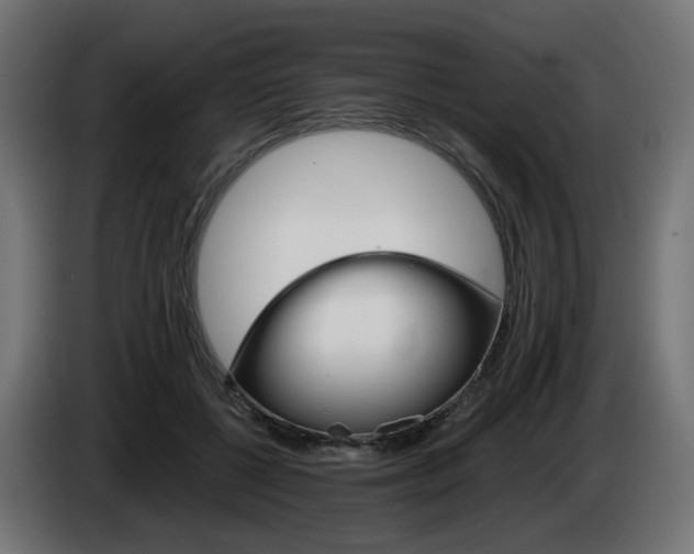 X0000084540552200703021446