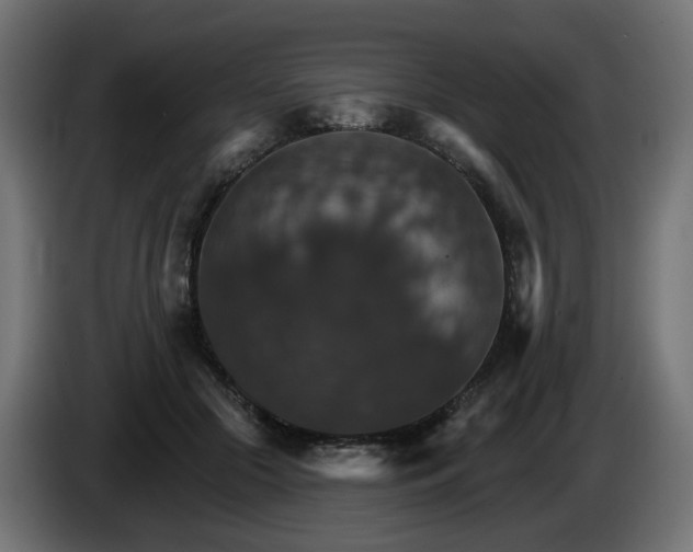 X0000084540553200703021446