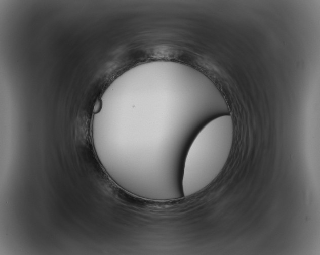 X0000084540554200703021446