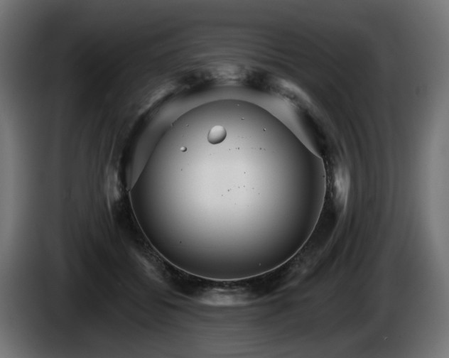 X0000084540556200703021446