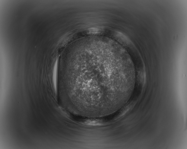 X0000084540557200703021446