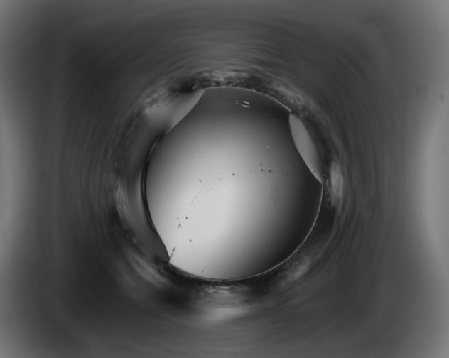 X0000084540558200703021446