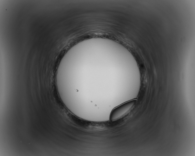 X0000084540559200703021446