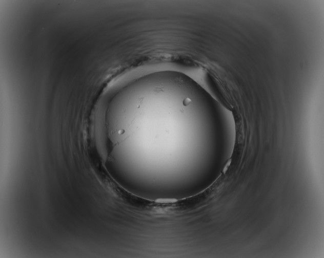 X0000084540560200703021446