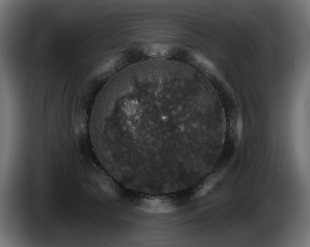 X0000084540561200703021446