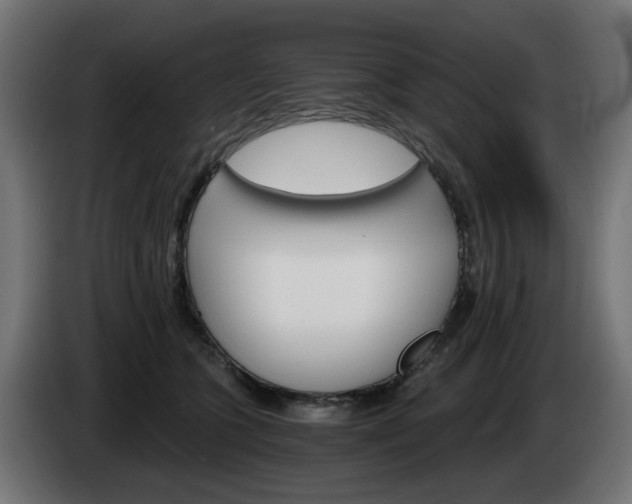 X0000084540563200703021446