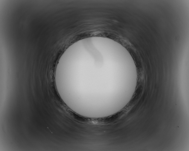 X0000084540565200703021446