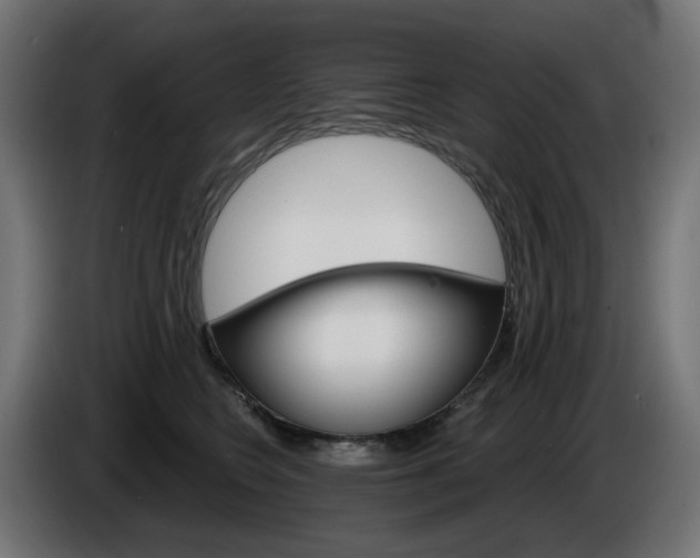 X0000084540566200703021446