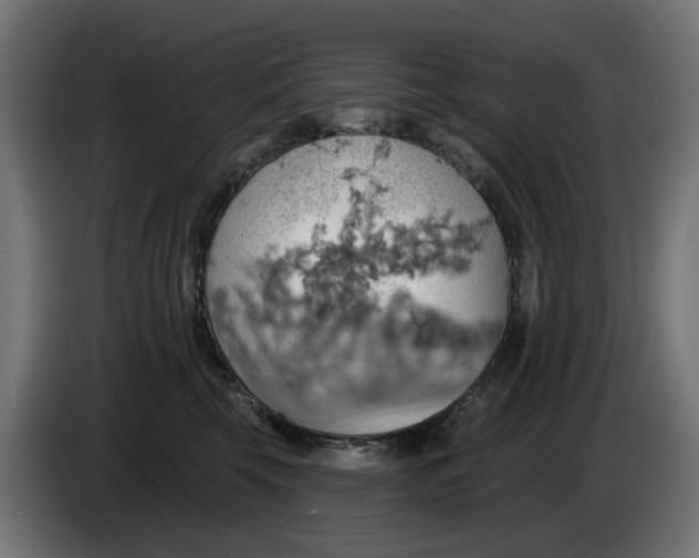 X0000084540569200703021446