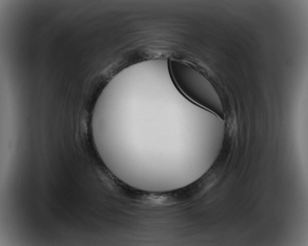 X0000084540570200703021446