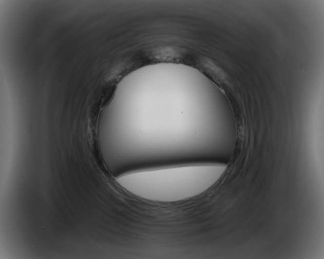 X0000084540572200703021446