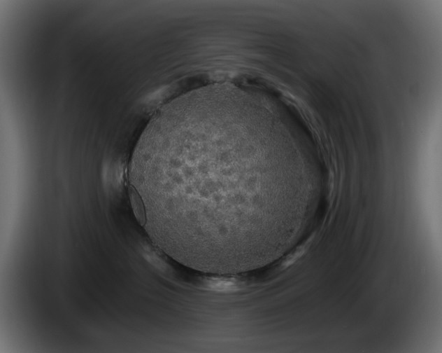 X0000084540574200703021446