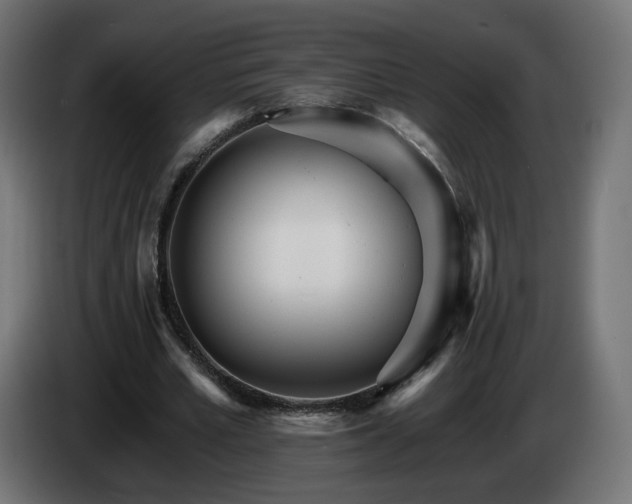 X0000084540581200703021446